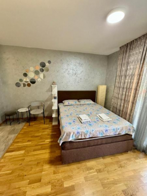 Modern Studio with free parking